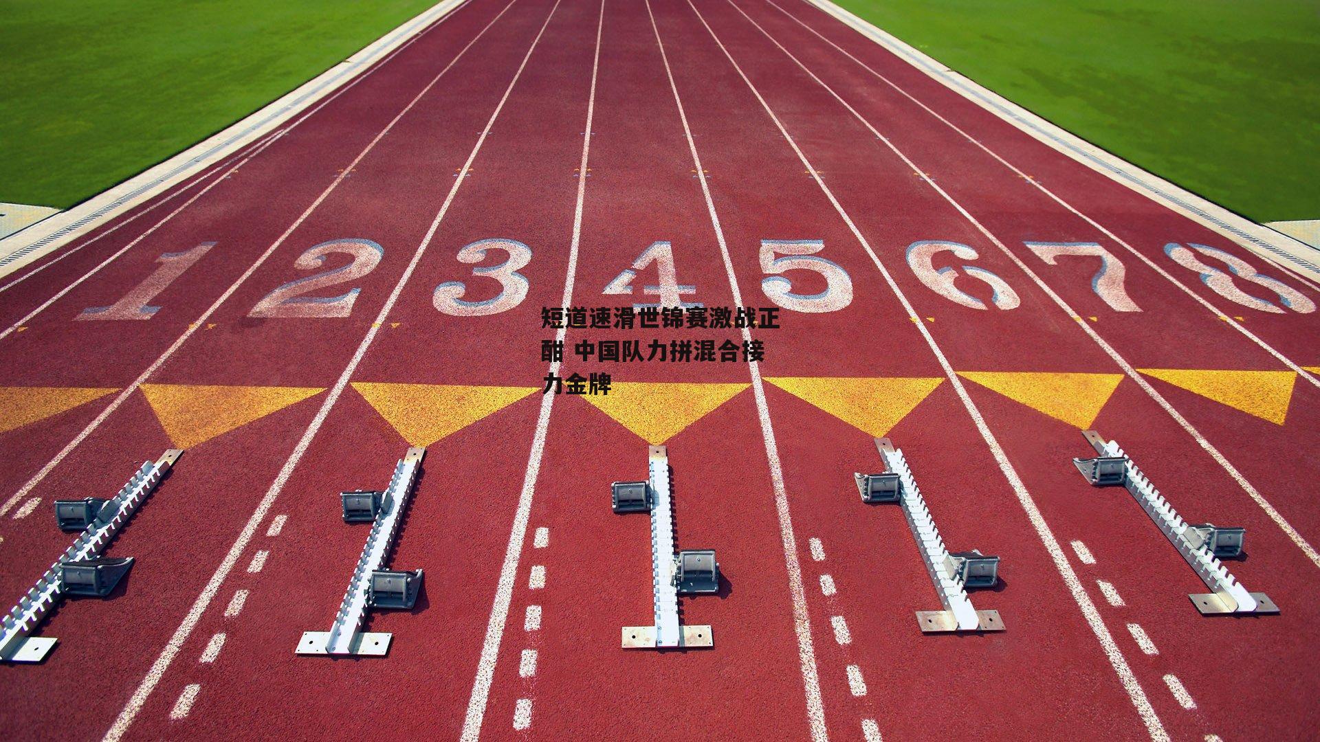 短道速滑世锦赛激战正酣 中国队力拼混合接力金牌